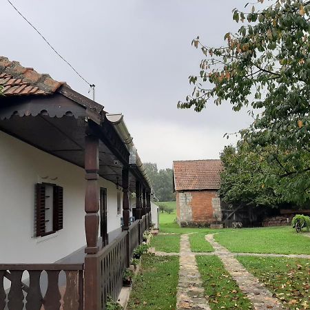 Bodrogparti Vendégház Sárazsadány Exterior foto