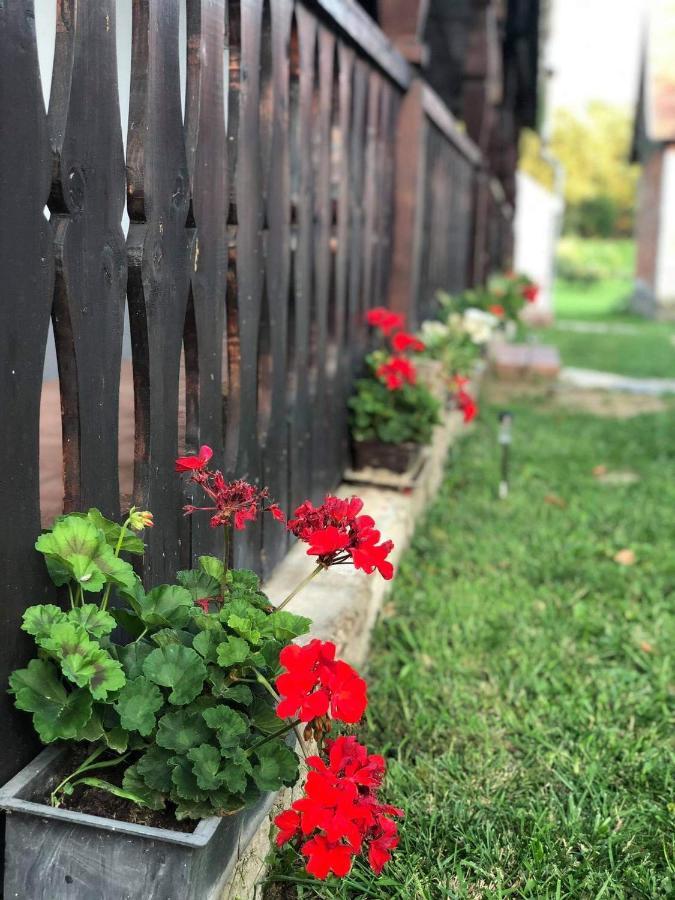Bodrogparti Vendégház Sárazsadány Exterior foto