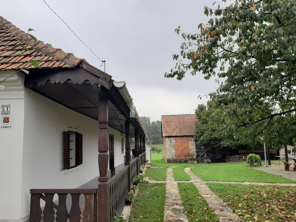 Bodrogparti Vendégház Sárazsadány Exterior foto