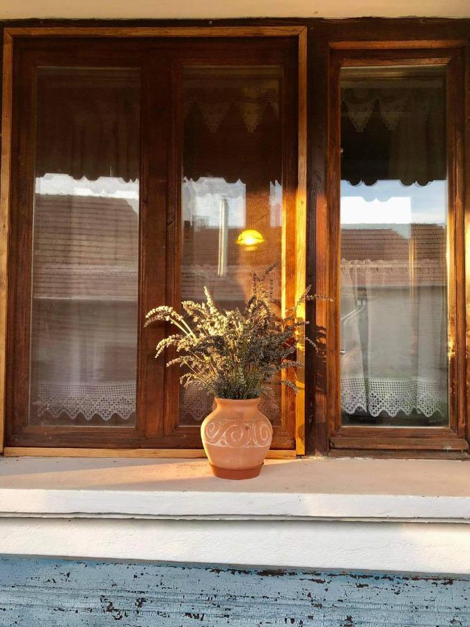 Bodrogparti Vendégház Sárazsadány Exterior foto