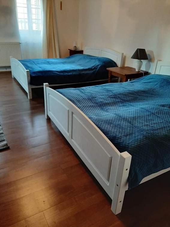 Bodrogparti Vendégház Sárazsadány Exterior foto