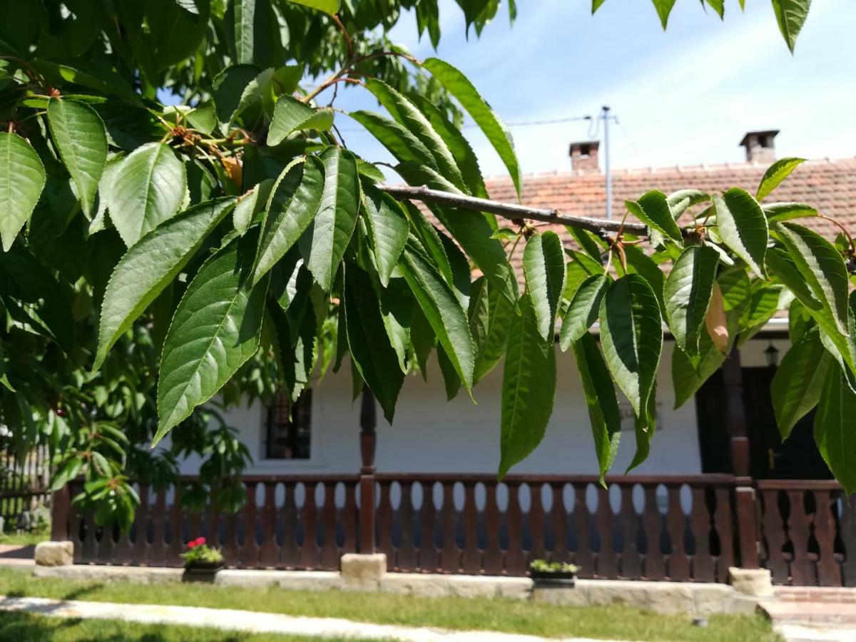 Bodrogparti Vendégház Sárazsadány Exterior foto