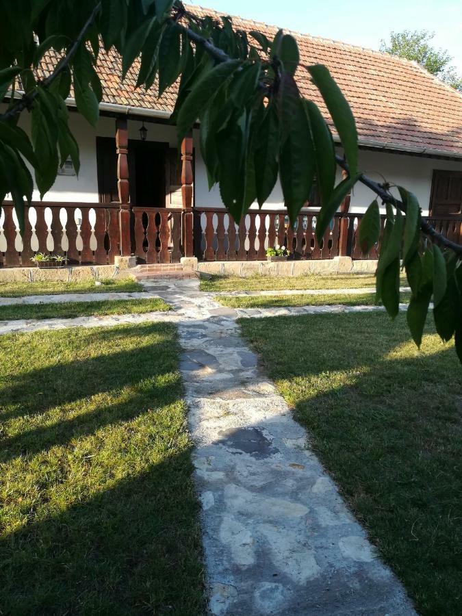 Bodrogparti Vendégház Sárazsadány Exterior foto