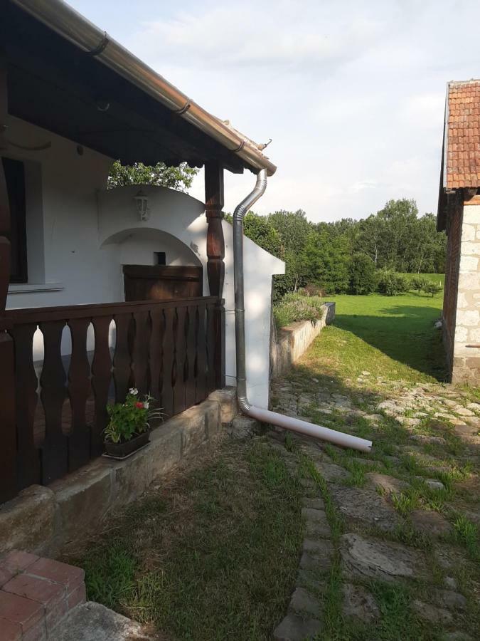 Bodrogparti Vendégház Sárazsadány Exterior foto